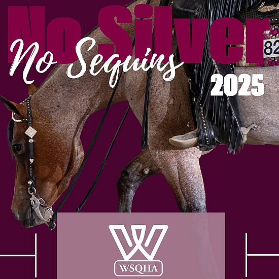 No Silver No Sequins