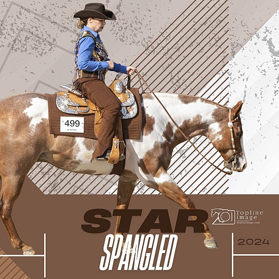 Star Spangled WA Paint Horse Club