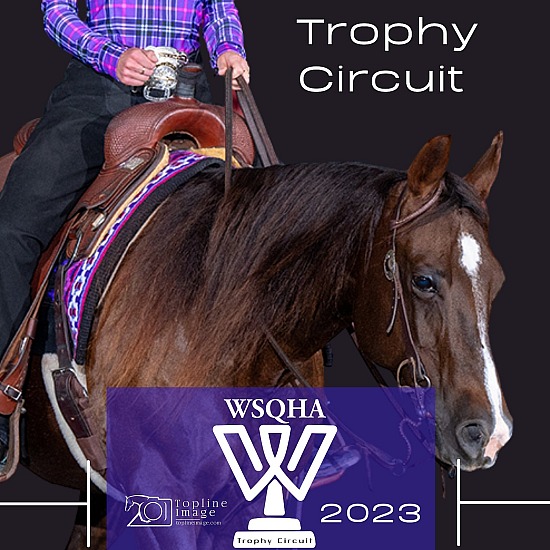 Trophy Circuit